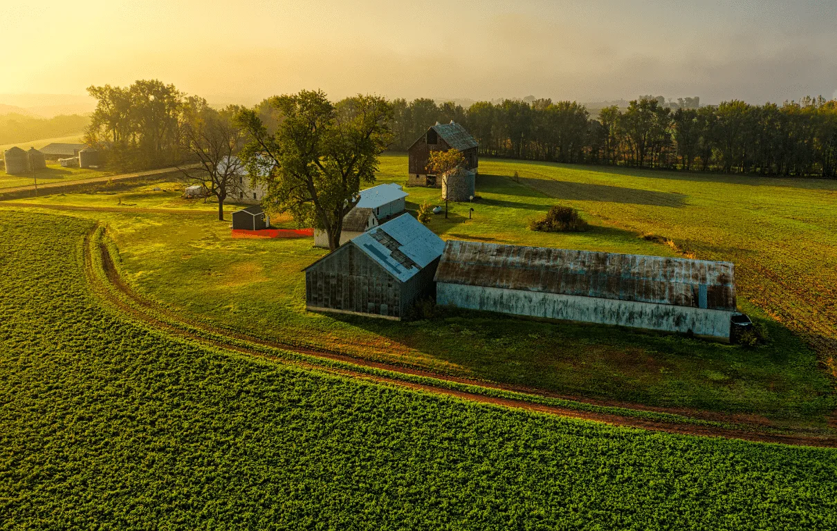 Aerial view of a Michigan industrial hemp farm at golden hour, barns and fields in warm light.